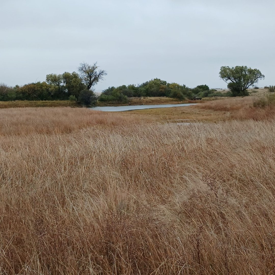 538Ha Riverfront Grazing Farm with Pivot photo 5