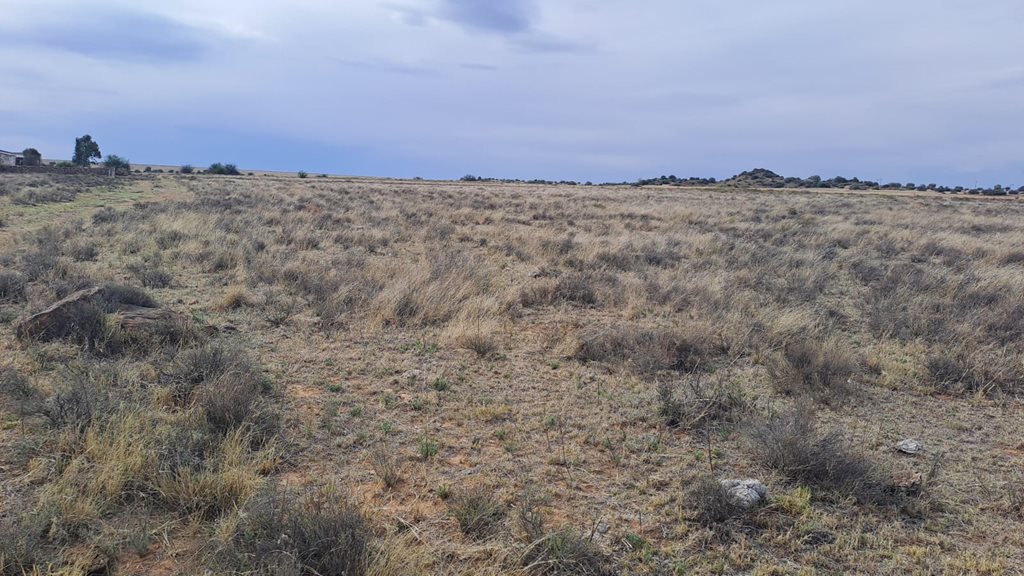 538Ha Riverfront Grazing Farm with Pivot photo 3