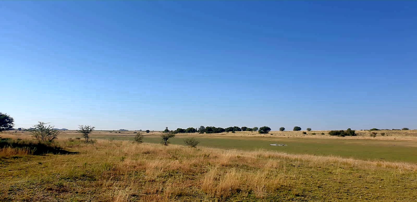 Prime Cattle Land - 98 kilometers from Bloemfontein