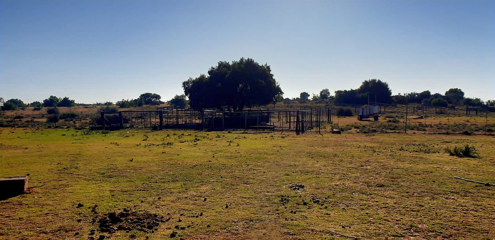 Prime Cattle Land - 98 kilometers from Bloemfontein photo 3