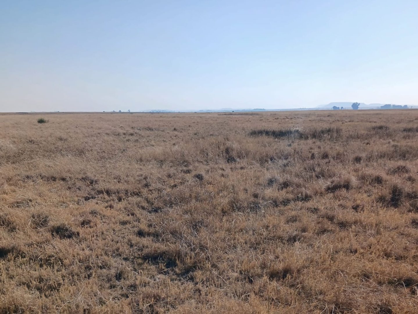 PRIME AGRICULTURAL PROPERTY FOR SALE photo 4