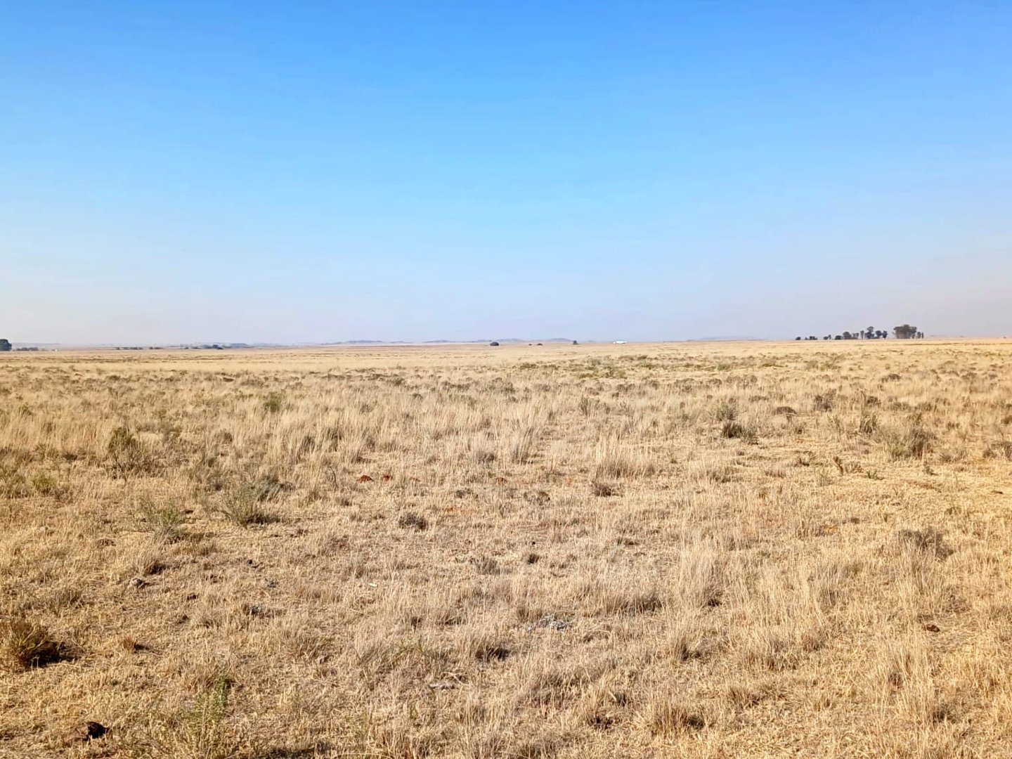 PRIME AGRICULTURAL PROPERTY FOR SALE photo 5