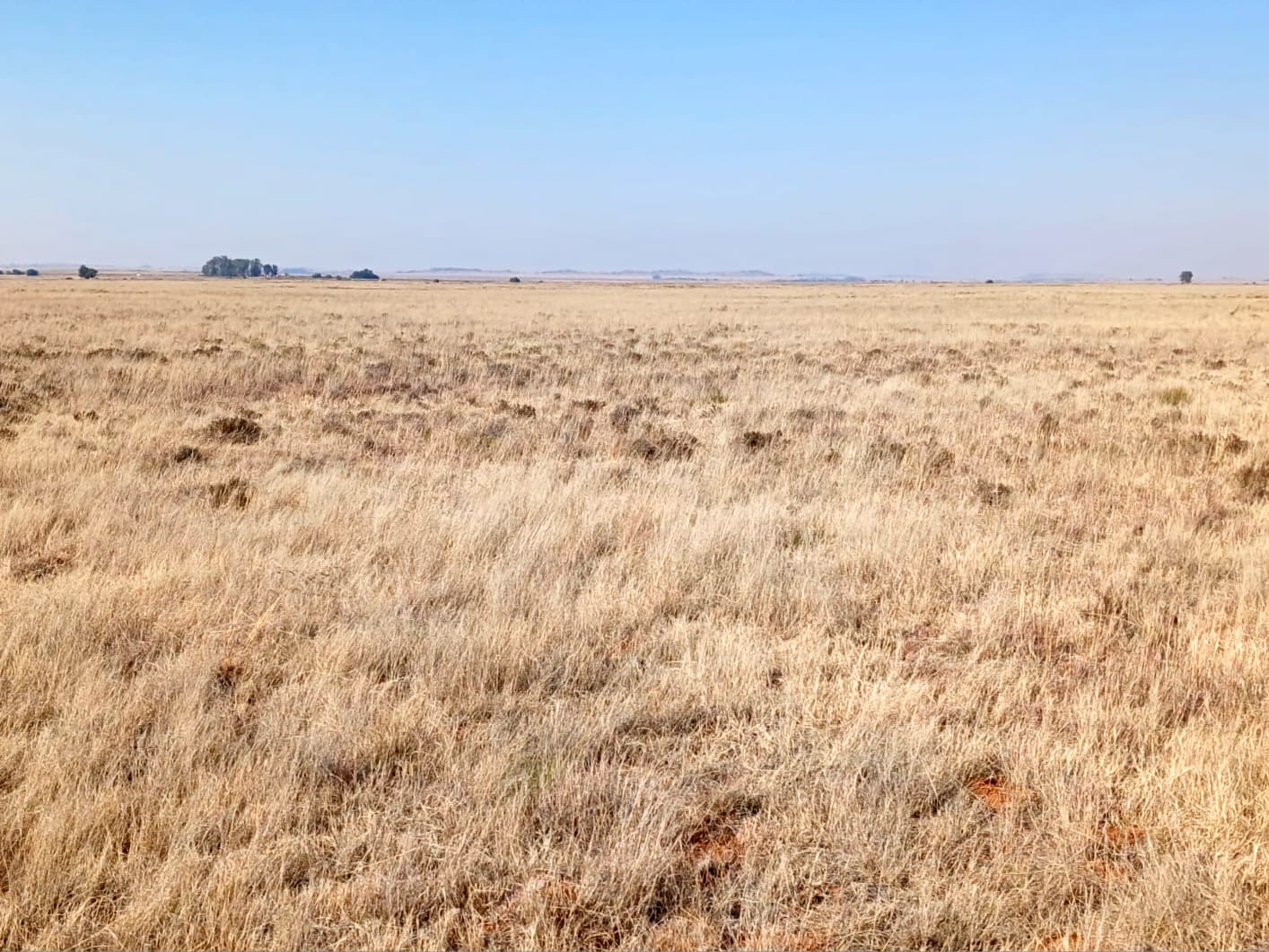 PRIME AGRICULTURAL PROPERTY FOR SALE photo 2