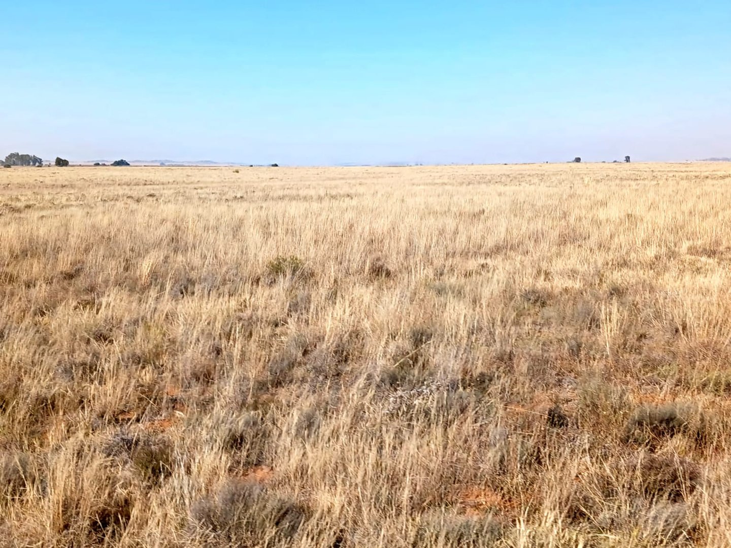 PRIME AGRICULTURAL PROPERTY FOR SALE photo 3