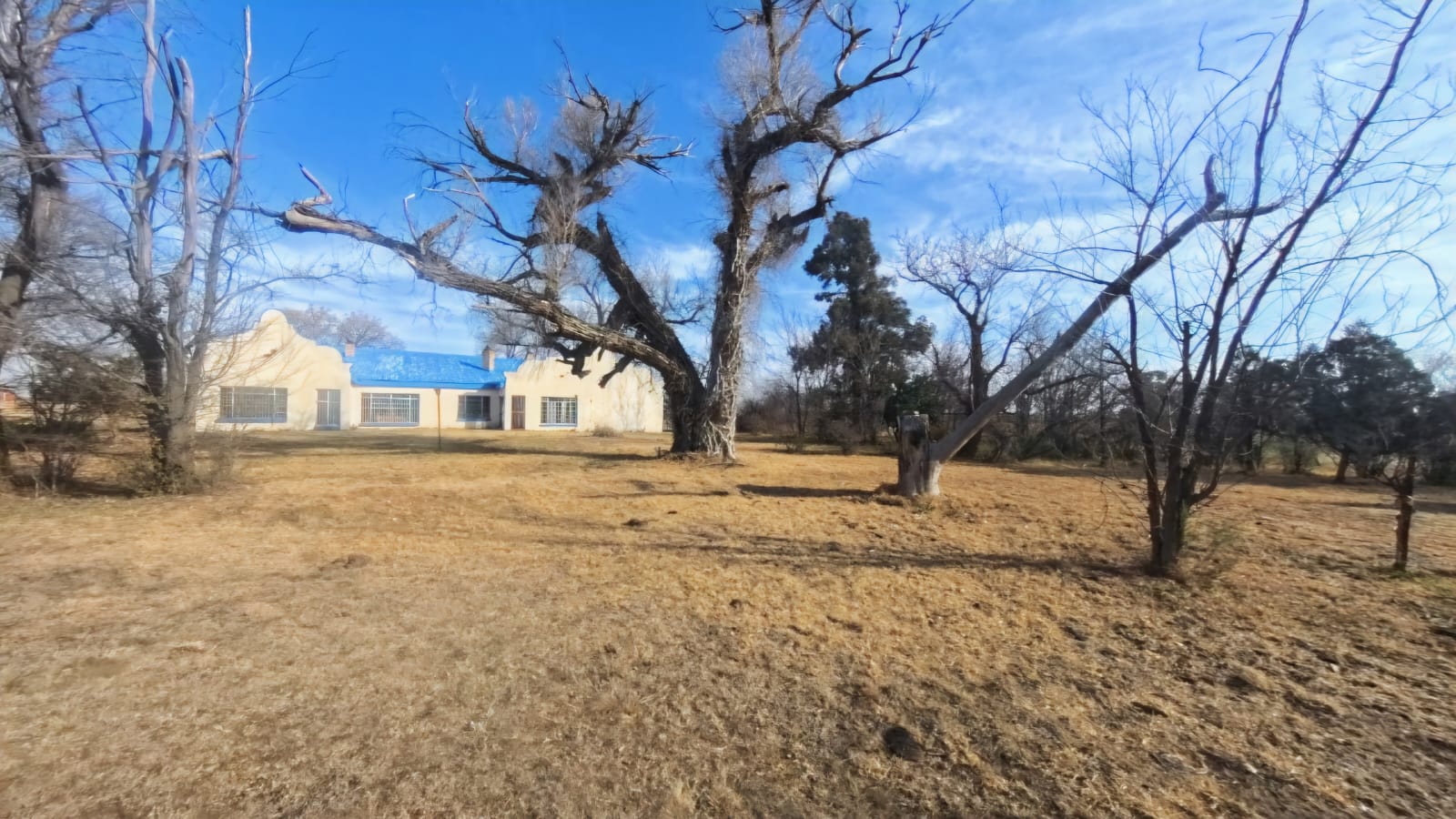 EXCEPTIONAL AGRICULTURAL OPPORTUNITY IN EDENBURG DISTRICT ONLY 80KM FROM BLOEMFONTEIN photo 2
