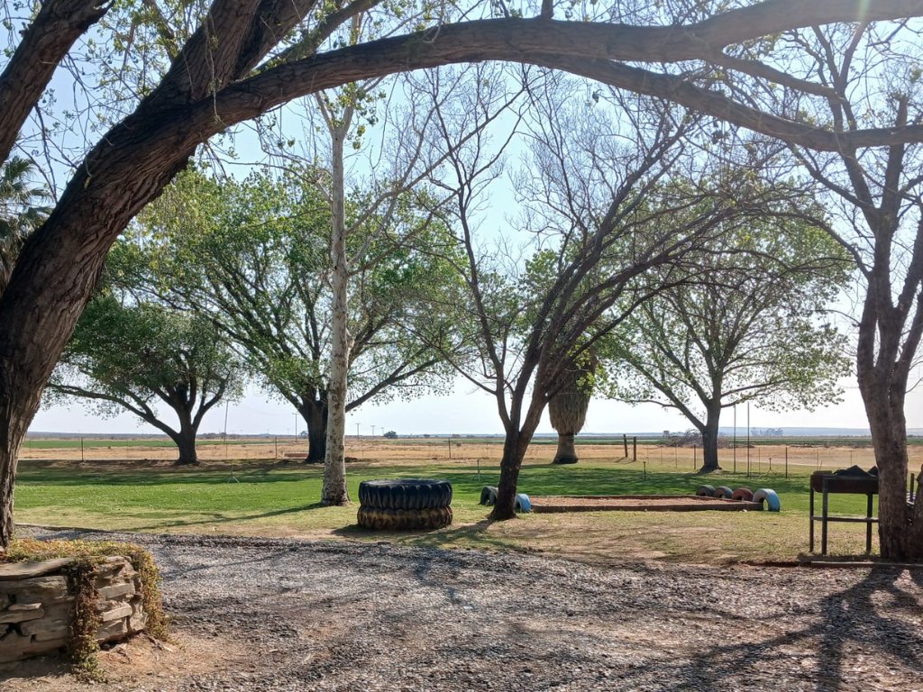 87 HA IRRIGATION FARM WITH LUCERNE – LOCATED ON THE VAAL RIVER photo 3