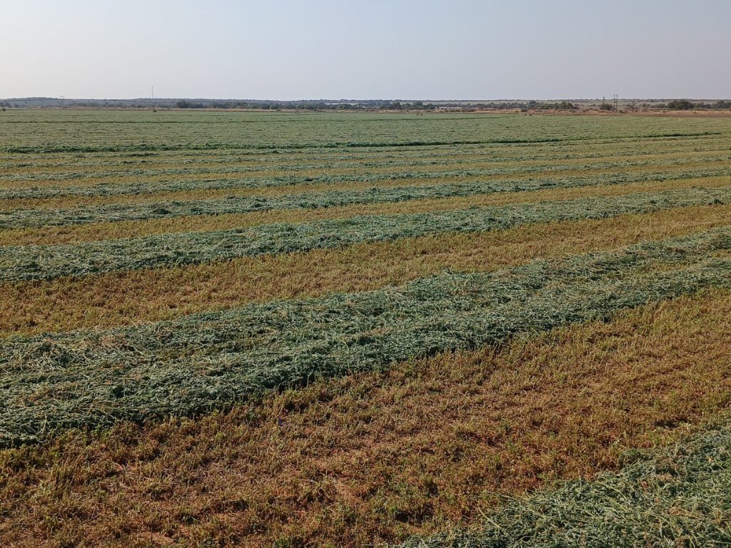 37.7 HA FARM WITH LUCERNE AND WATER RIGHTS – LOCATED ON THE VAAL RIVER photo 4