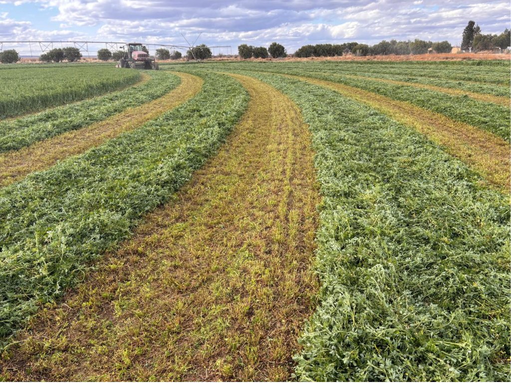 37.7 HA FARM WITH LUCERNE AND WATER RIGHTS – LOCATED ON THE VAAL RIVER photo 3