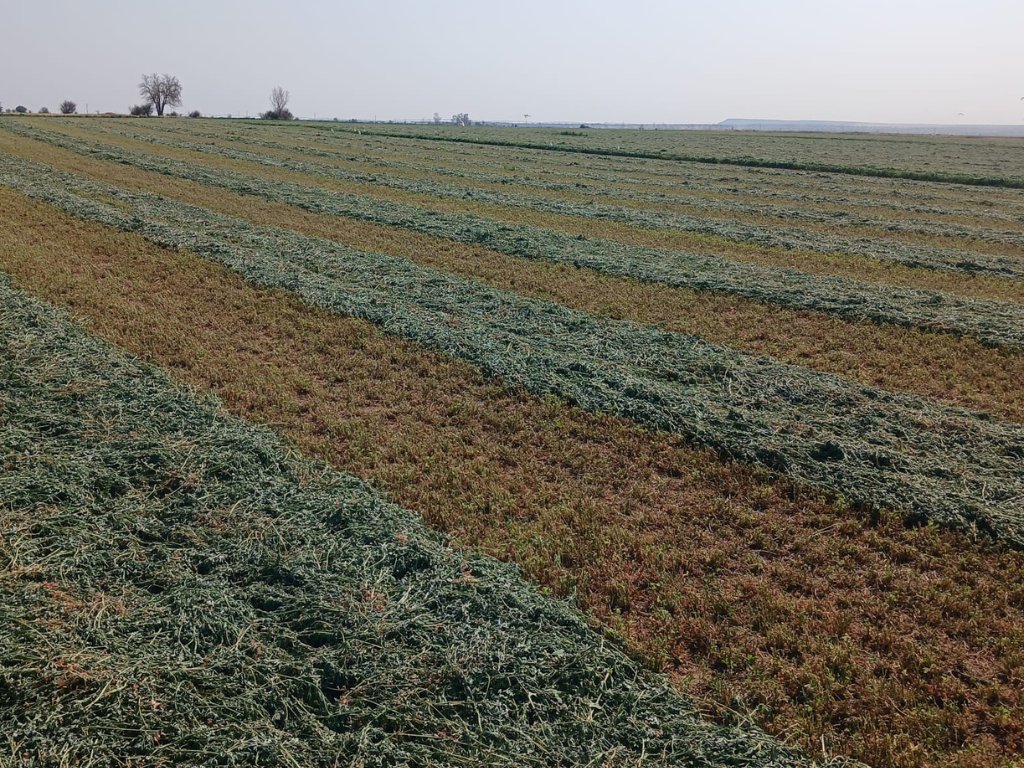 37.7 HA FARM WITH LUCERNE AND WATER RIGHTS – LOCATED ON THE VAAL RIVER photo 5
