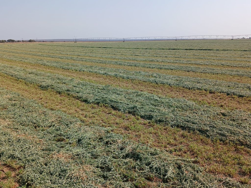88.7  HA FARM WITH 84.4 HA WATER RIGHTS FROM THE VAAL RIVER photo 2