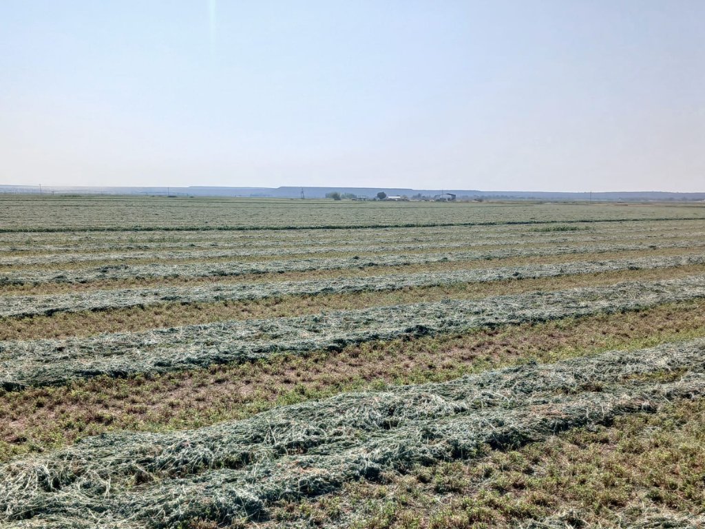 88.7  HA FARM WITH 84.4 HA WATER RIGHTS FROM THE VAAL RIVER photo 3