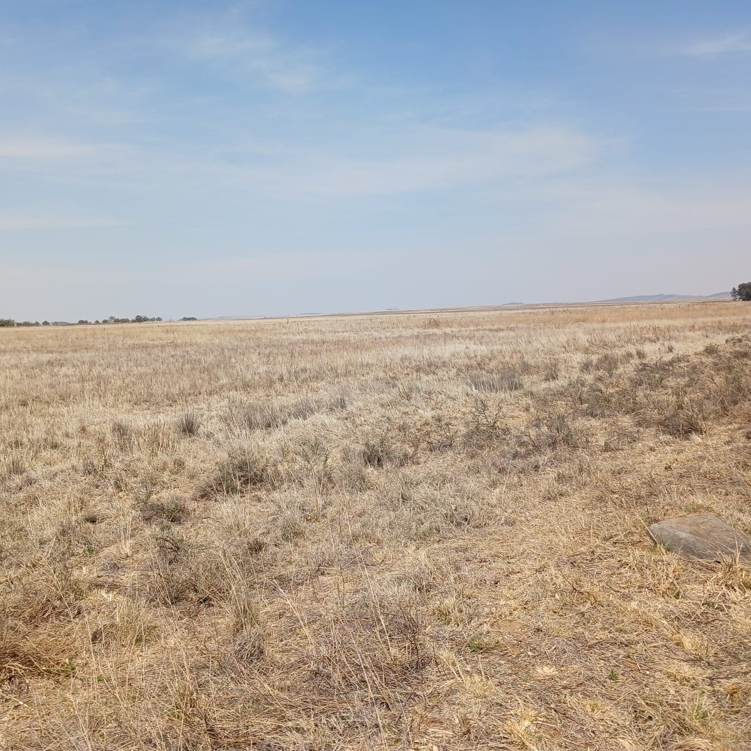 Prime Agricultural Land for Sale – 536.247 Hectares Near Bloemfontein photo 2