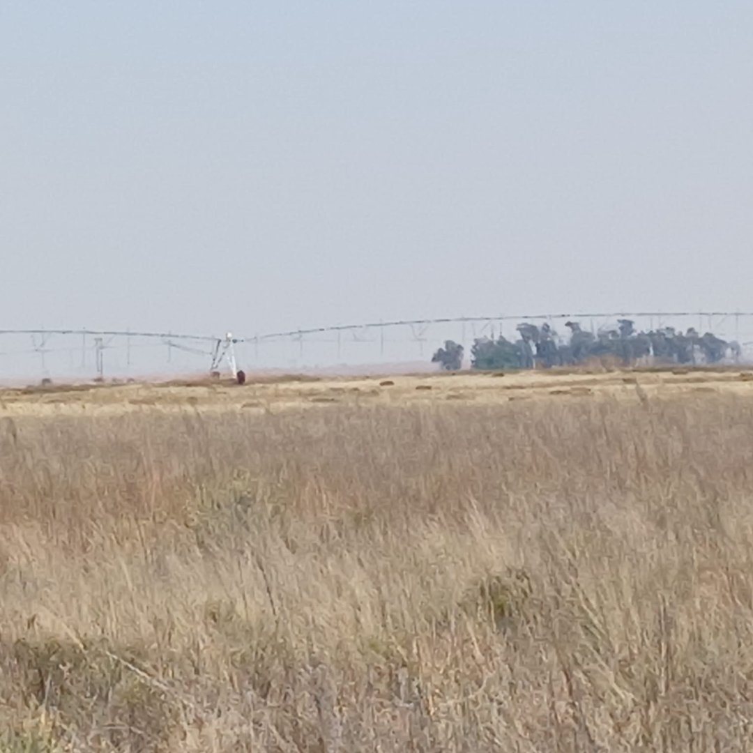 Prime Agricultural Land for Sale – 536.247 Hectares Near Bloemfontein