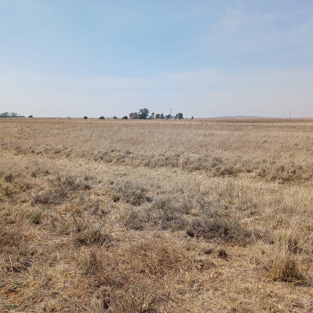 Prime Agricultural Land for Sale – 536.247 Hectares Near Bloemfontein photo 5