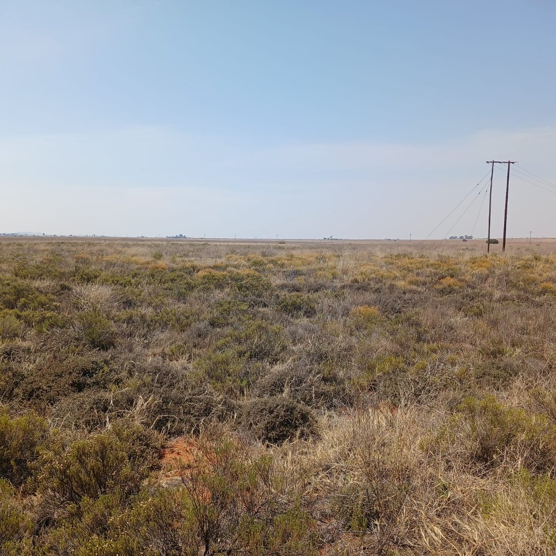 Prime Agricultural Land for Sale – 536.247 Hectares Near Bloemfontein photo 4