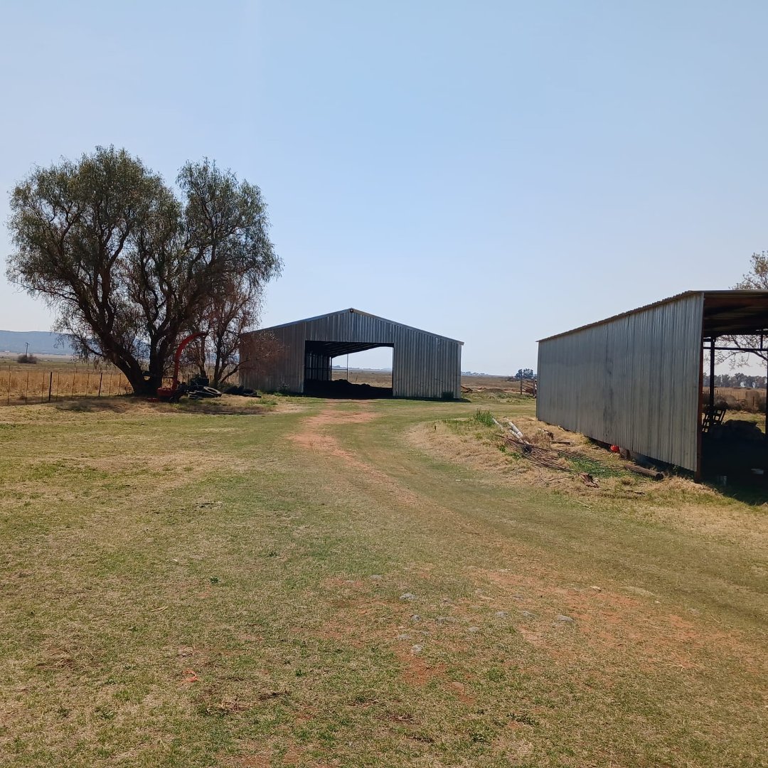 85.6532 HA IRRIGATION FARM FOR SALE – RUNNING CONCERN photo 4