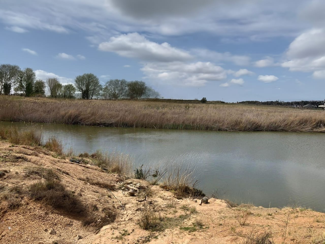 PRIME CATTLE AND SHEEP FARM WITH NEW 4-TOWER PIVOT FOR SALE IN BLOEMFONTEIN