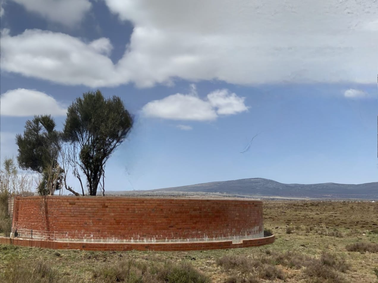 PRIME CATTLE AND SHEEP FARM WITH NEW 4-TOWER PIVOT FOR SALE IN BLOEMFONTEIN photo 4