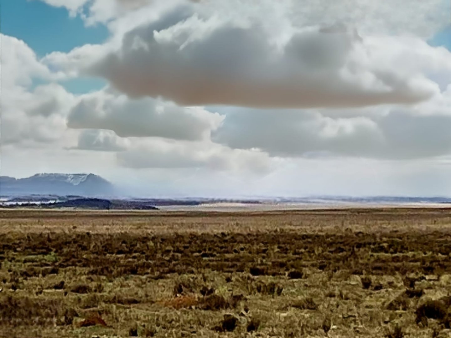 PRIME CATTLE AND SHEEP FARM WITH NEW 4-TOWER PIVOT FOR SALE IN BLOEMFONTEIN photo 5