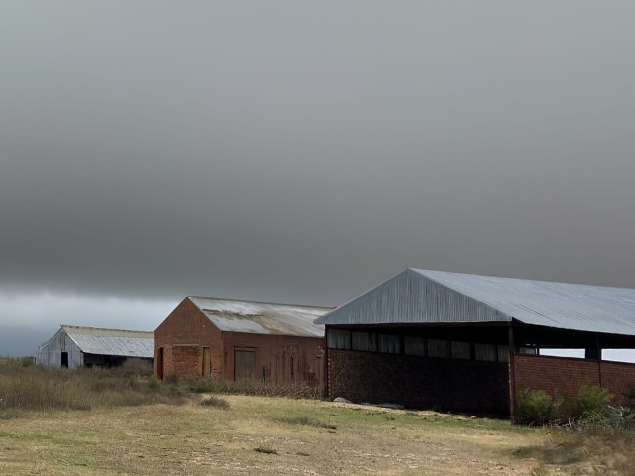 PRIME CATTLE AND SHEEP FARM WITH NEW 4-TOWER PIVOT FOR SALE IN BLOEMFONTEIN photo 2
