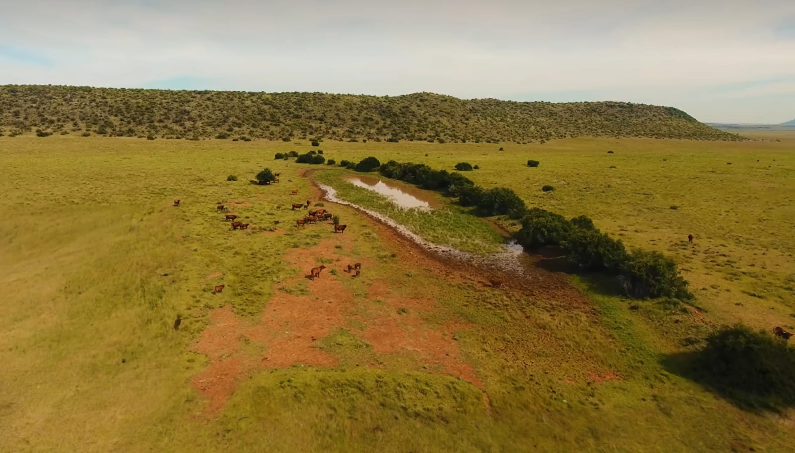 GRAZING FARM FOR SALE NEAR VAN DER KLOOF DAM - SOLE MANDATE photo 2