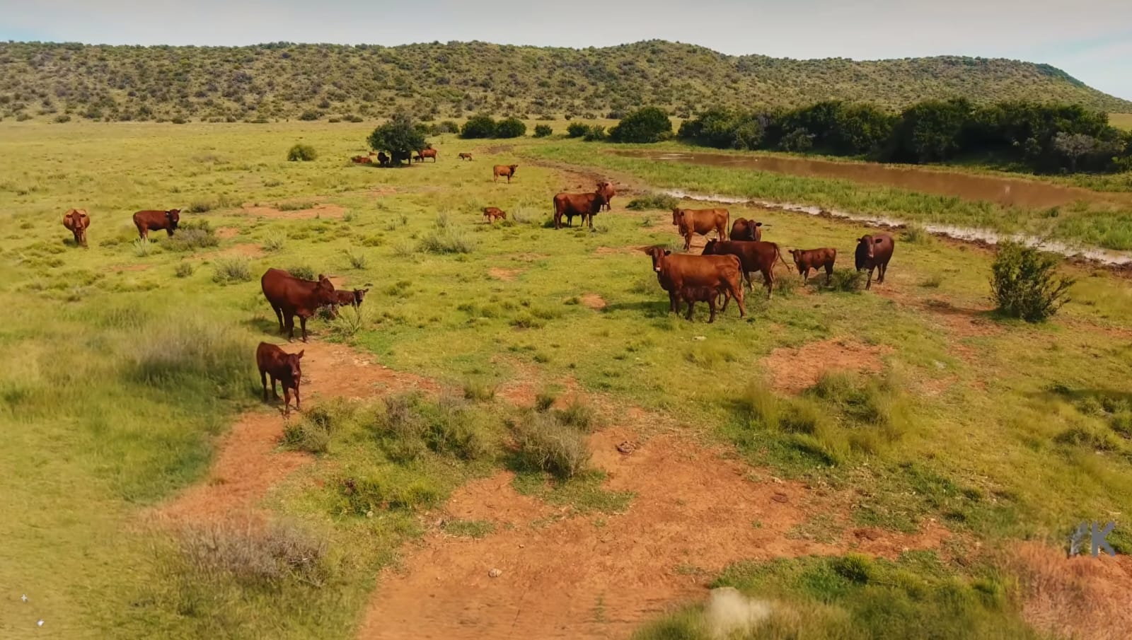 GRAZING FARM FOR SALE NEAR VAN DER KLOOF DAM - SOLE MANDATE photo 3