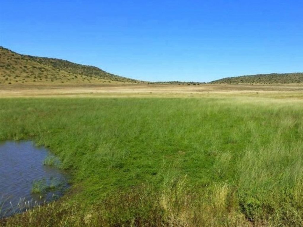 GRAZING FARM FOR SALE NEAR VAN DER KLOOF DAM - SOLE MANDATE photo 5