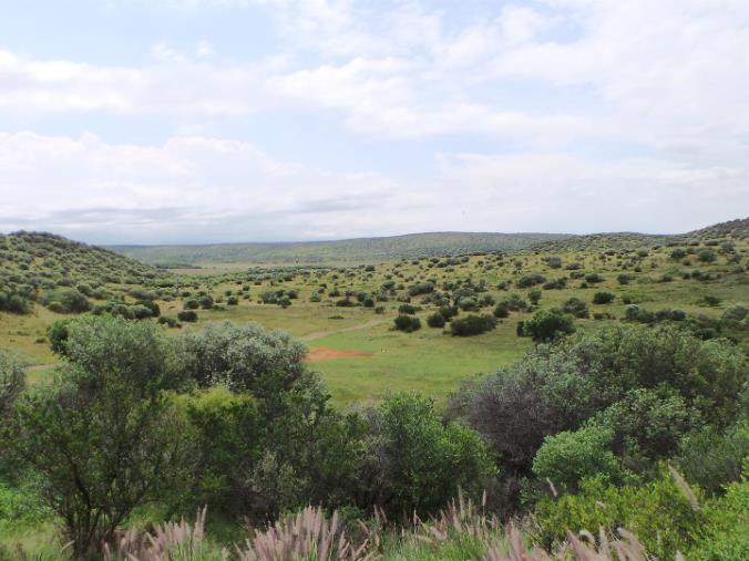 GRAZING FARM FOR SALE NEAR VAN DER KLOOF DAM - SOLE MANDATE photo 4