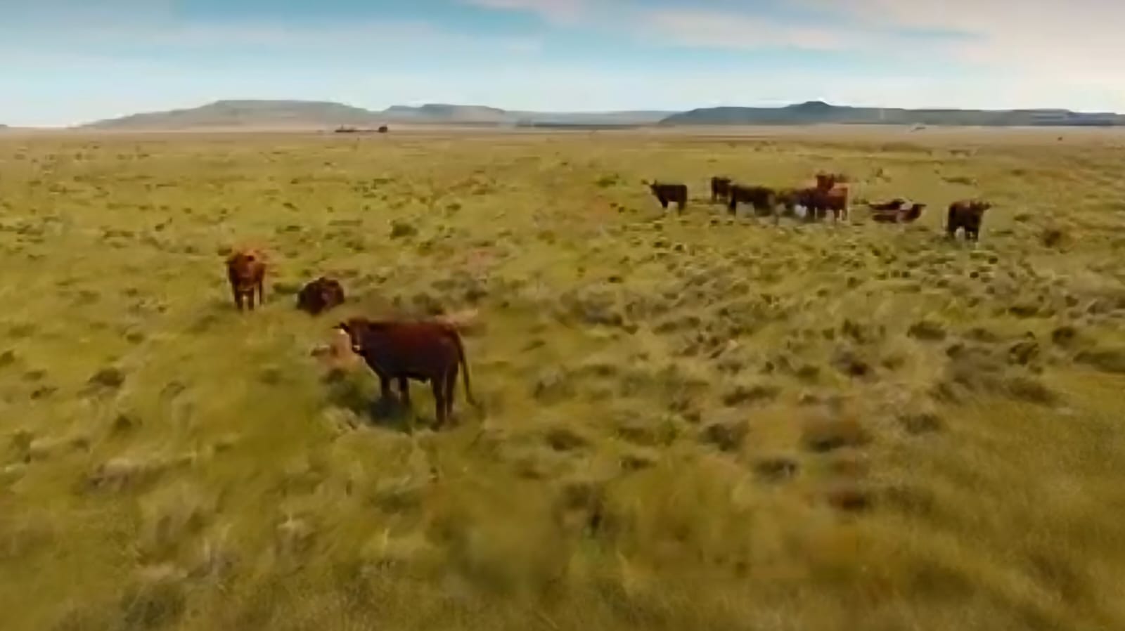 GRAZING FARM FOR SALE NEAR FAURESMITH – IDEAL AGRICULTURAL OPPORTUNITY
