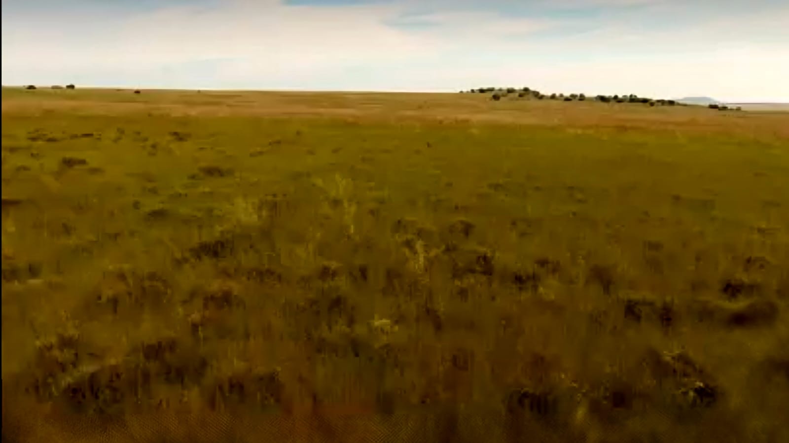 GRAZING FARM FOR SALE NEAR FAURESMITH – IDEAL AGRICULTURAL OPPORTUNITY photo 5