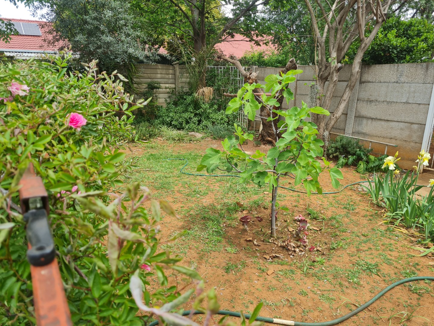 Spacious 9 Bedroom house for Sale in Generaal de Wet photo 3