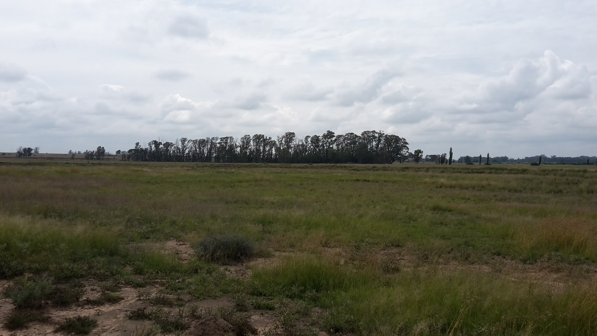 EXCELLENT 260 HA CATTLE AND SHEEP FARM FOR SALE IN TIERPOORT, BLOEMFONTEIN photo 2