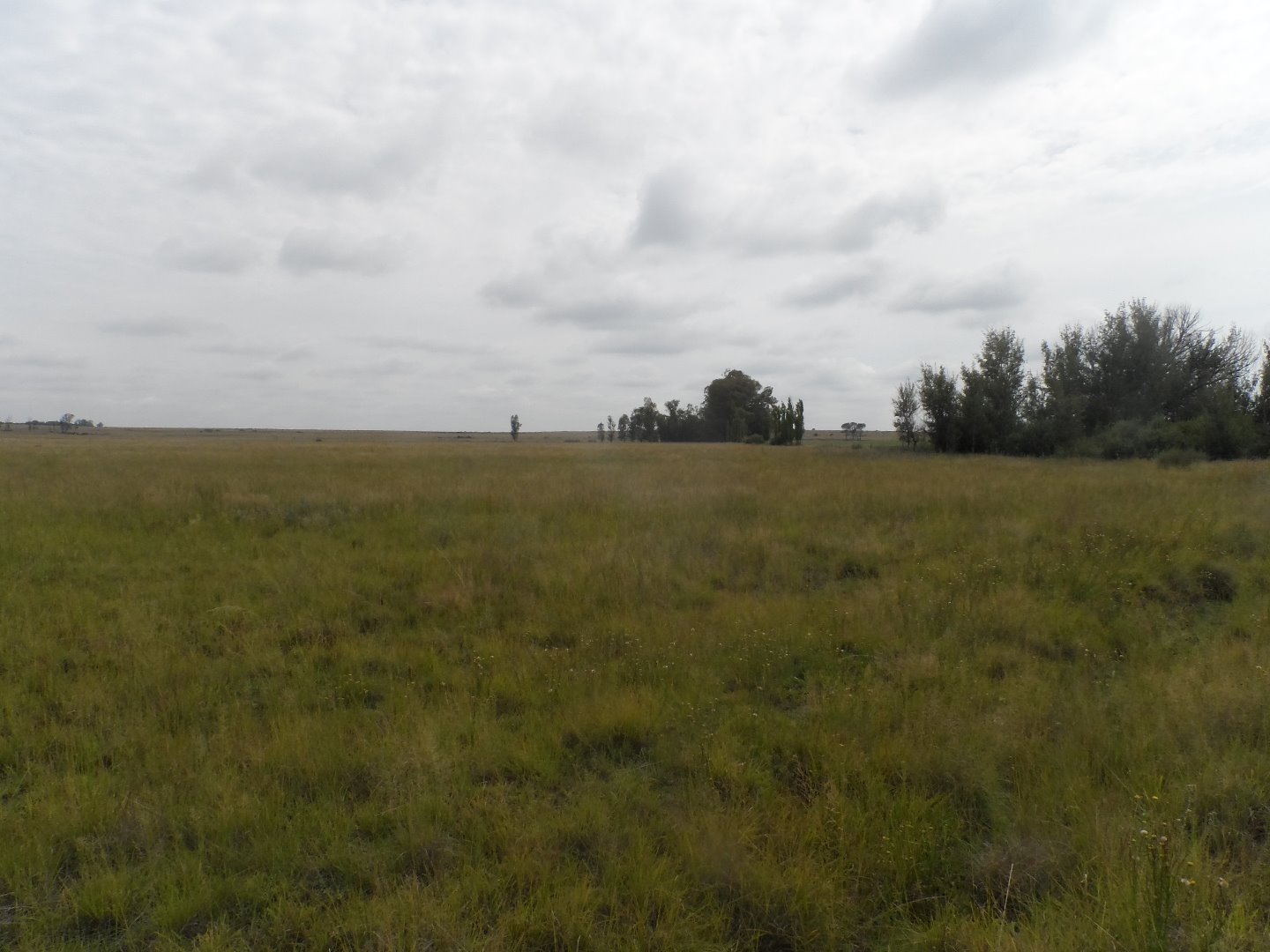 190 HA GRAZING FARM FOR SALE  photo 2