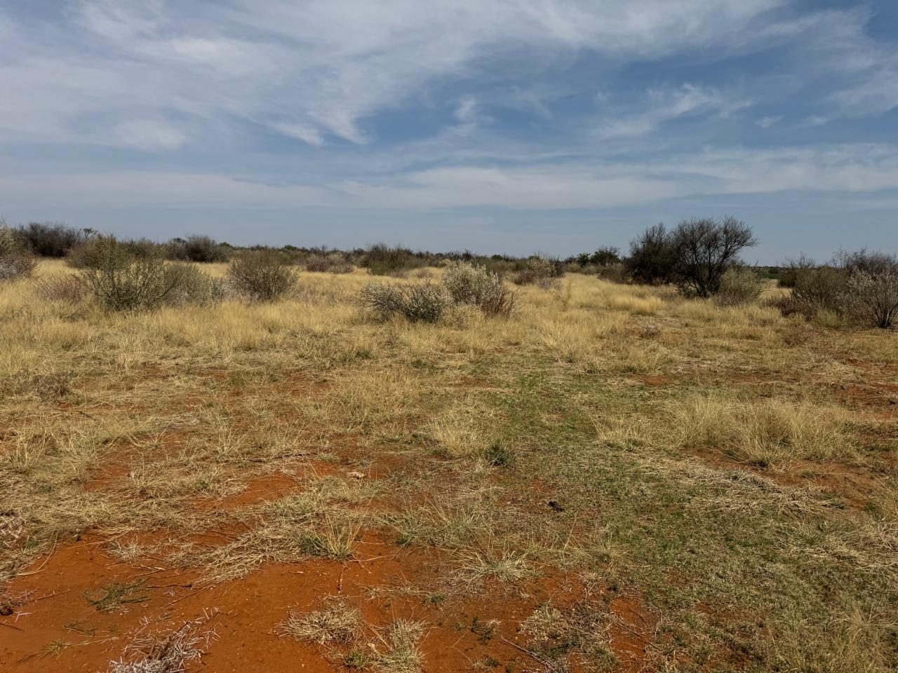190 HA GRAZING FARM FOR SALE  photo 3