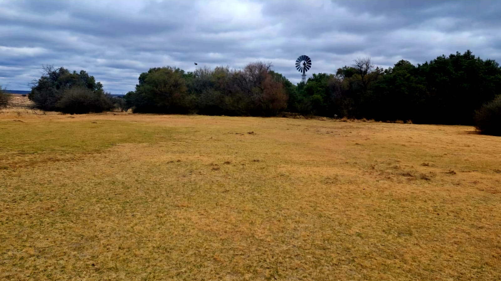 1300HECTARE FARM FOR SALE  photo 3