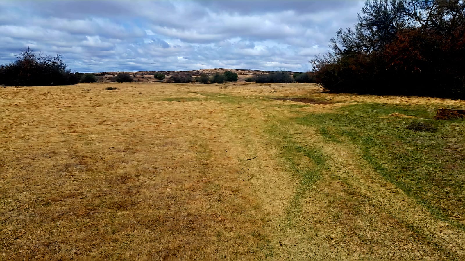 1300HECTARE FARM FOR SALE  photo 4