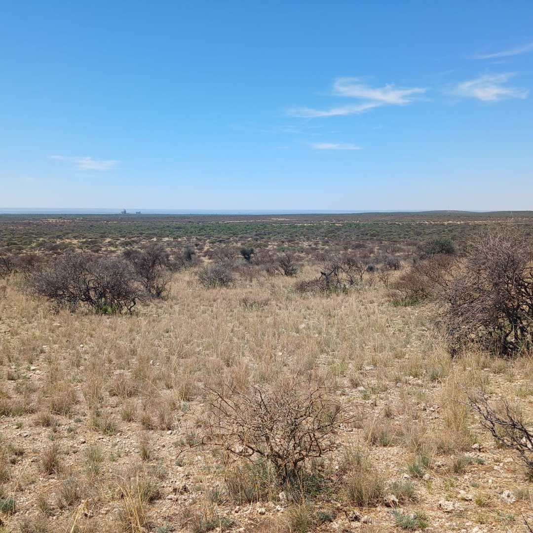 2433 Ha Cattle and Game Farm for Sale – Prime Grazing Land with Full Infrastructure