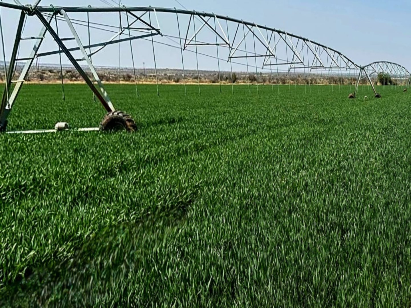 1002 HA VAAL RIVER  IRRIGATION AND PECAN  FARM photo 4
