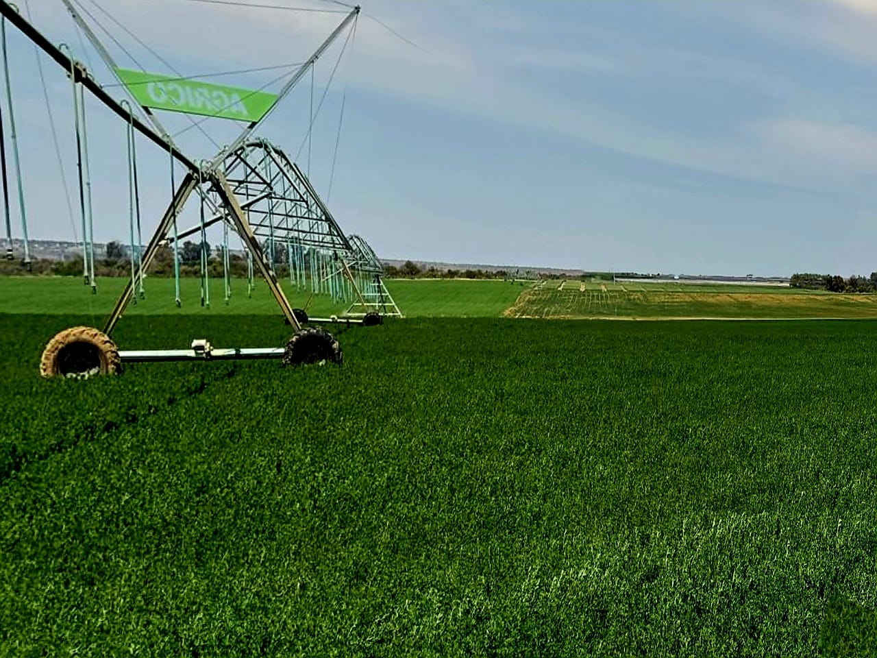 1002 HA VAAL RIVER  IRRIGATION AND PECAN  FARM photo 3