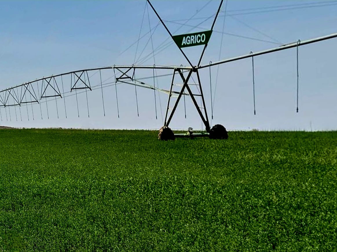 1002 HA VAAL RIVER  IRRIGATION AND PECAN  FARM photo 5