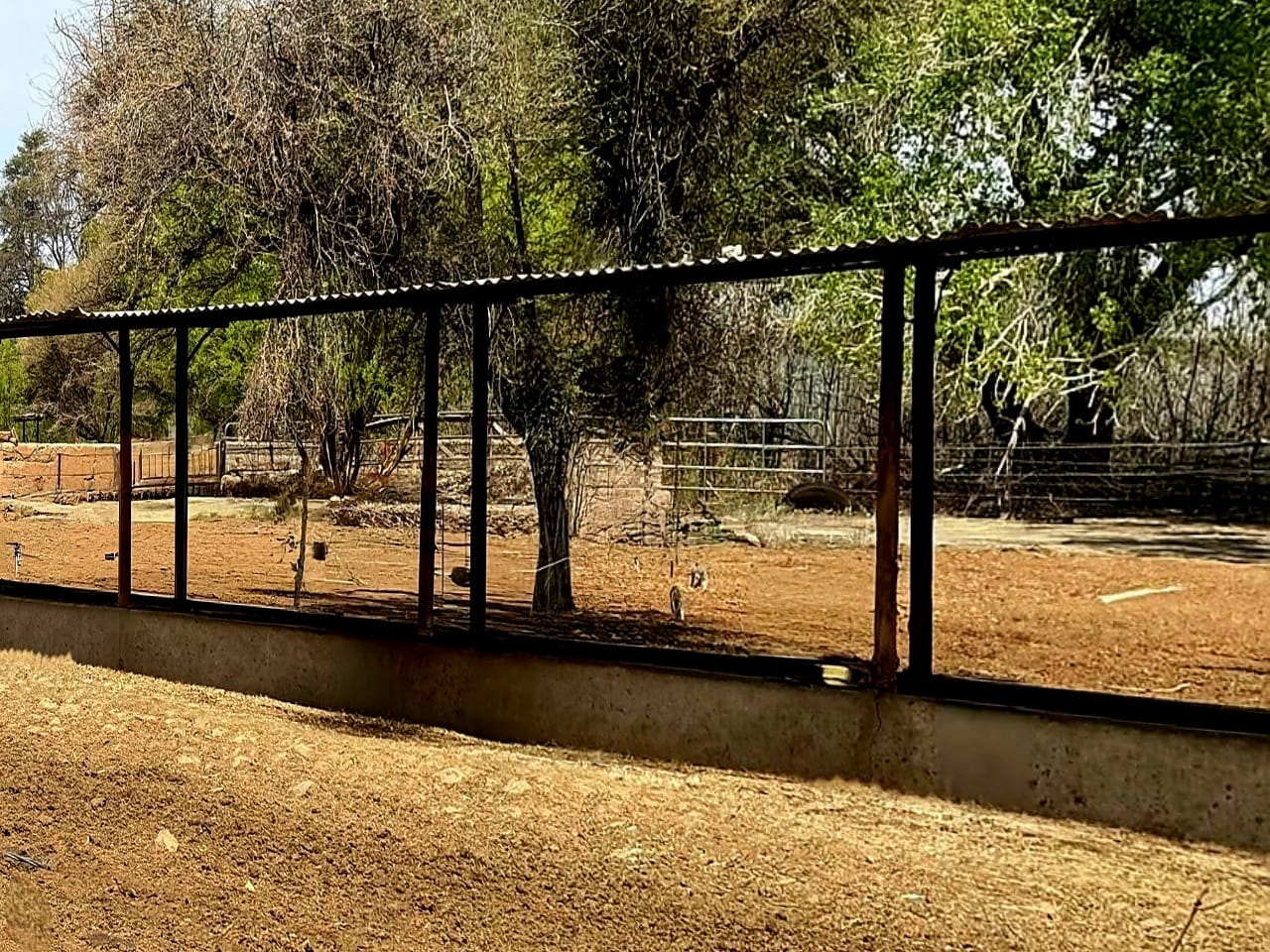 383.61-HECTARE FARM FOR SALE NEAR KIMBERLEY – PRIME WATER RIGHTS & AGRICULTURAL POTENTIAL photo 3