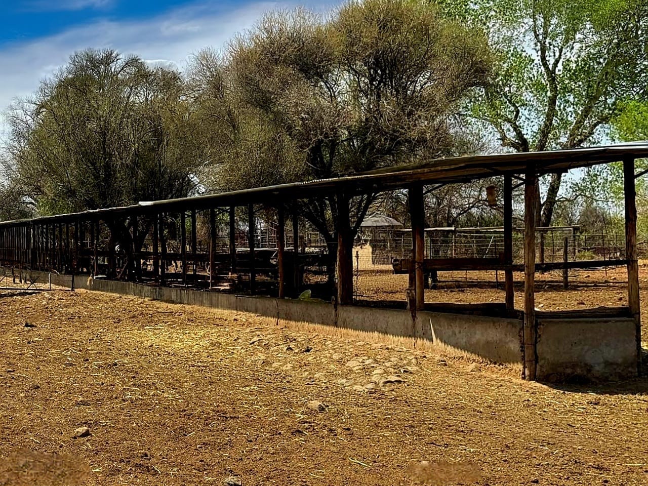 383.61-HECTARE FARM FOR SALE NEAR KIMBERLEY – PRIME WATER RIGHTS & AGRICULTURAL POTENTIAL photo 4