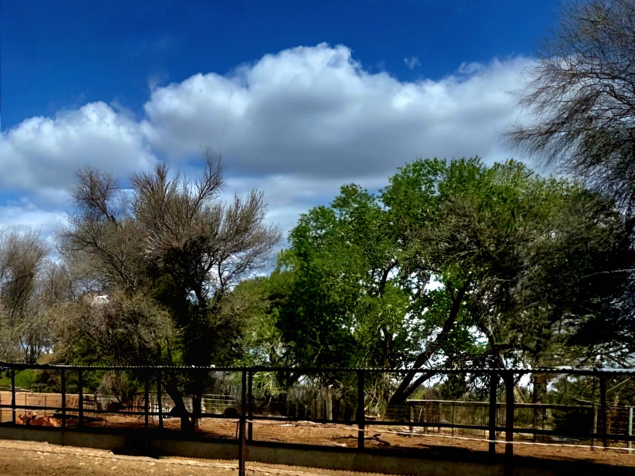 383.61-HECTARE FARM FOR SALE NEAR KIMBERLEY – PRIME WATER RIGHTS & AGRICULTURAL POTENTIAL photo 2