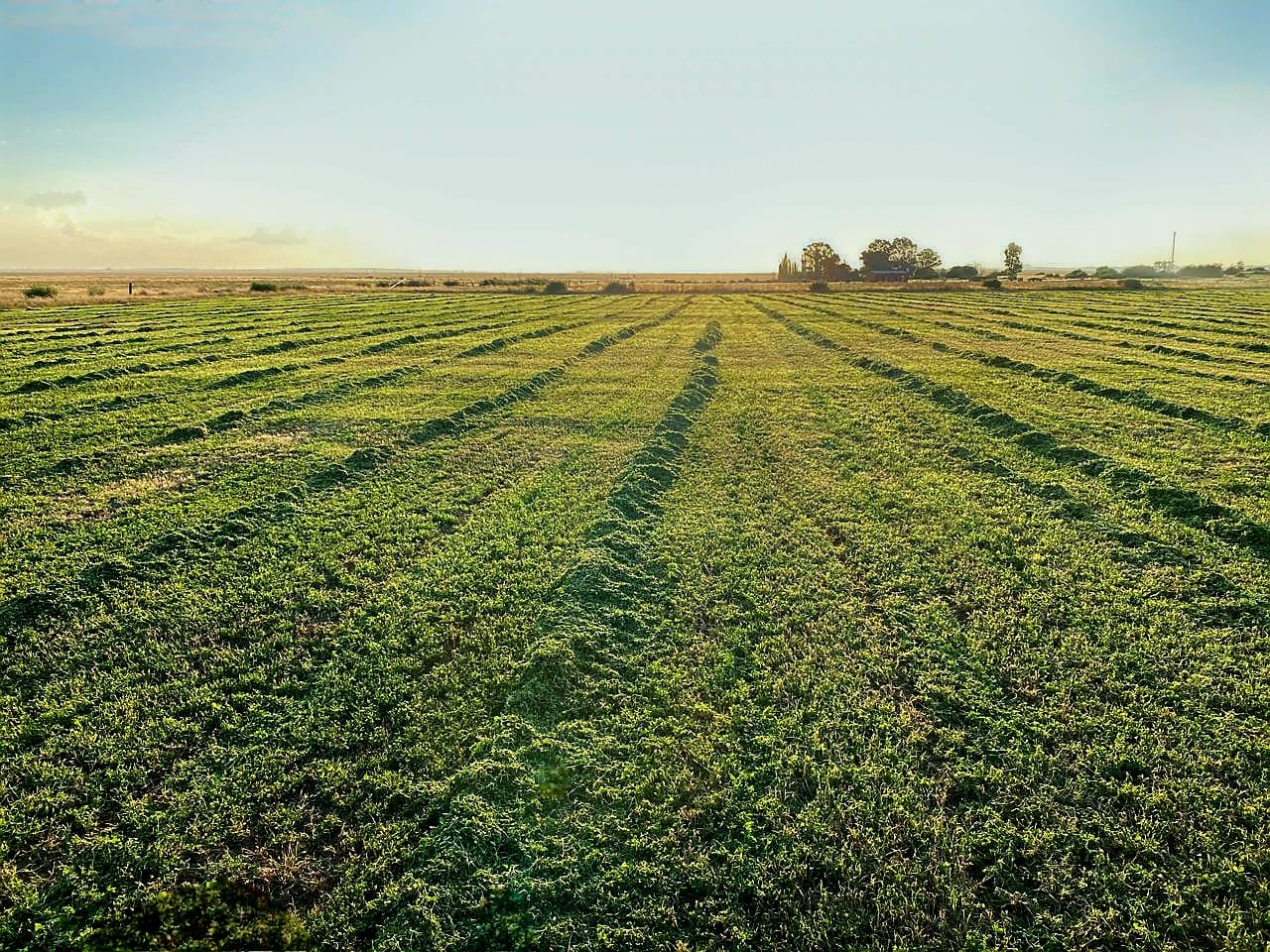 428 ha FARM WITH WATER SOURCES AND AMENITIES – 50 KM FROM BLOEMFONTEIN photo 2