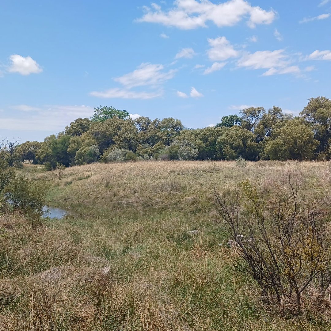 WELL PLANNED CATTLE FARM WITH LOTS OF POTENTIAL ON THE GHAAP PLATEAU photo 4