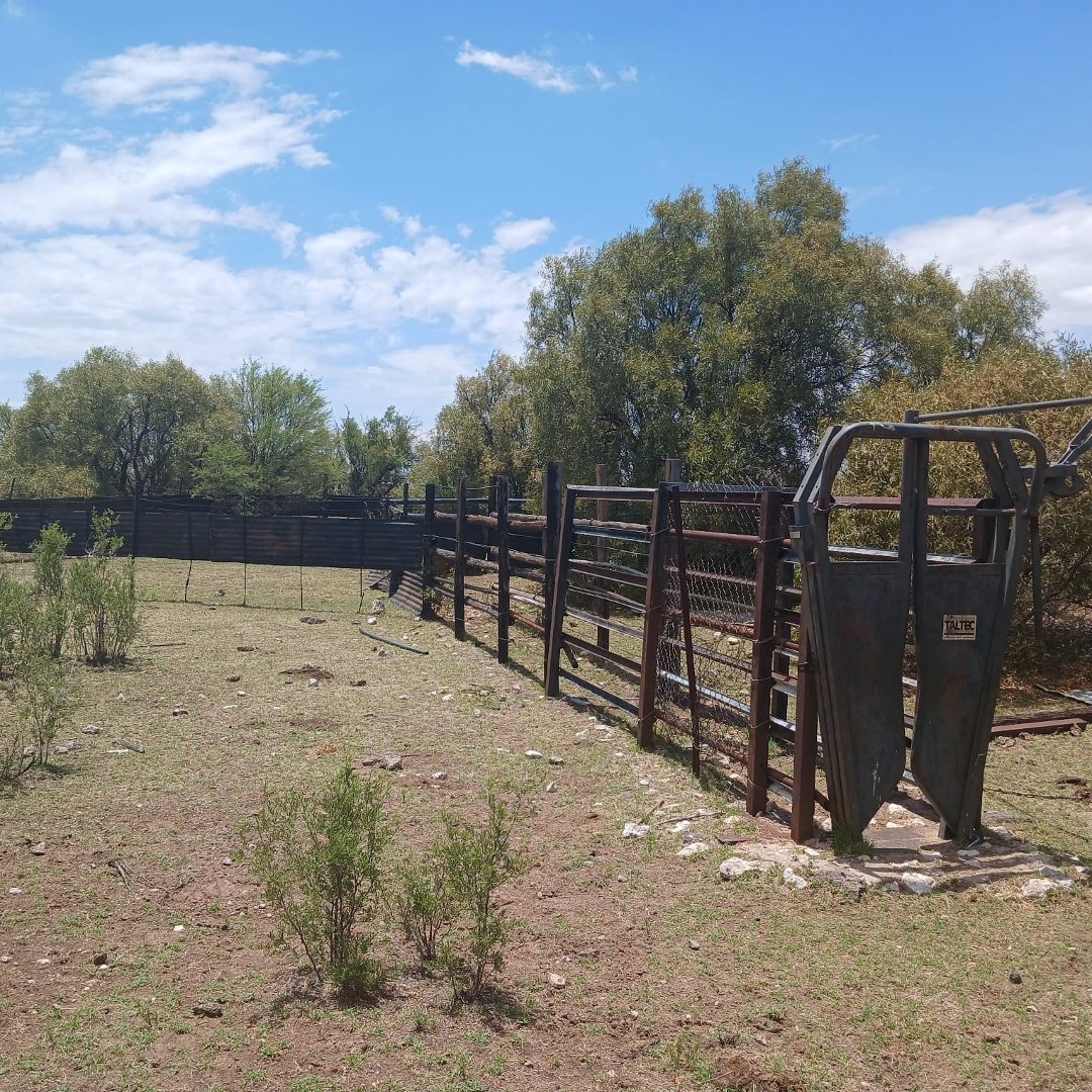 WELL PLANNED CATTLE FARM WITH LOTS OF POTENTIAL ON THE GHAAP PLATEAU photo 3
