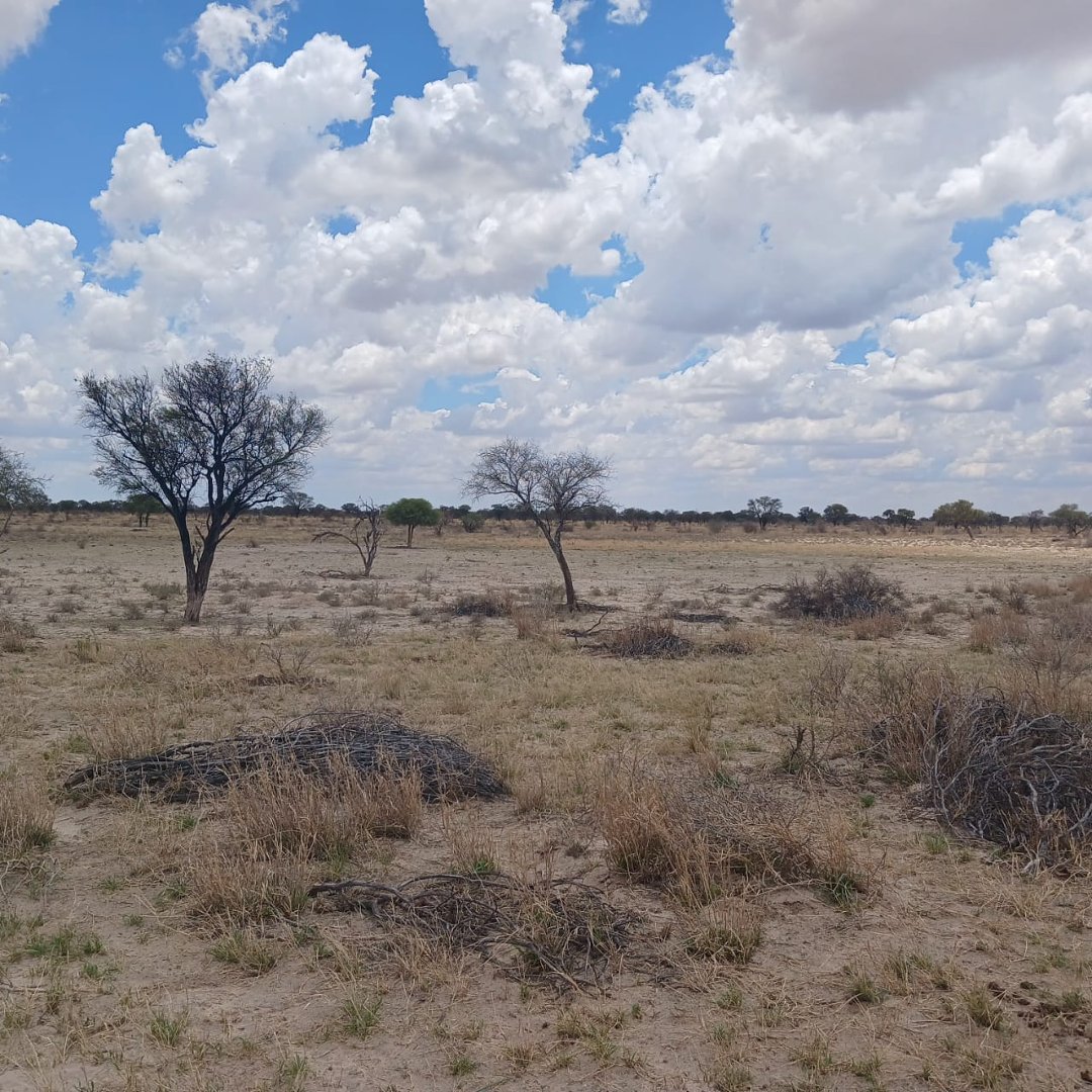 1757HA LIVESTOCK AND GAME FARM FOR SALE photo 2