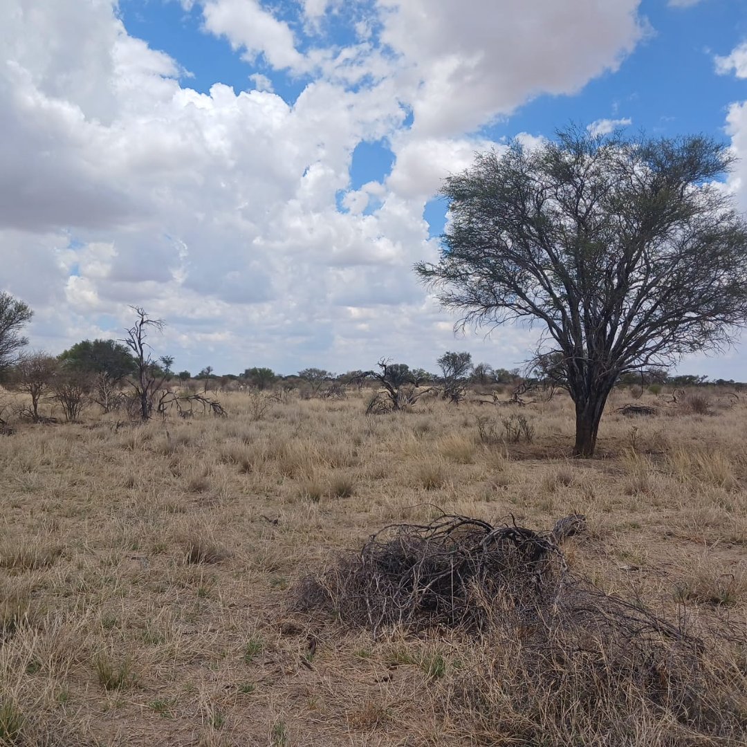 1757HA LIVESTOCK AND GAME FARM FOR SALE photo 5