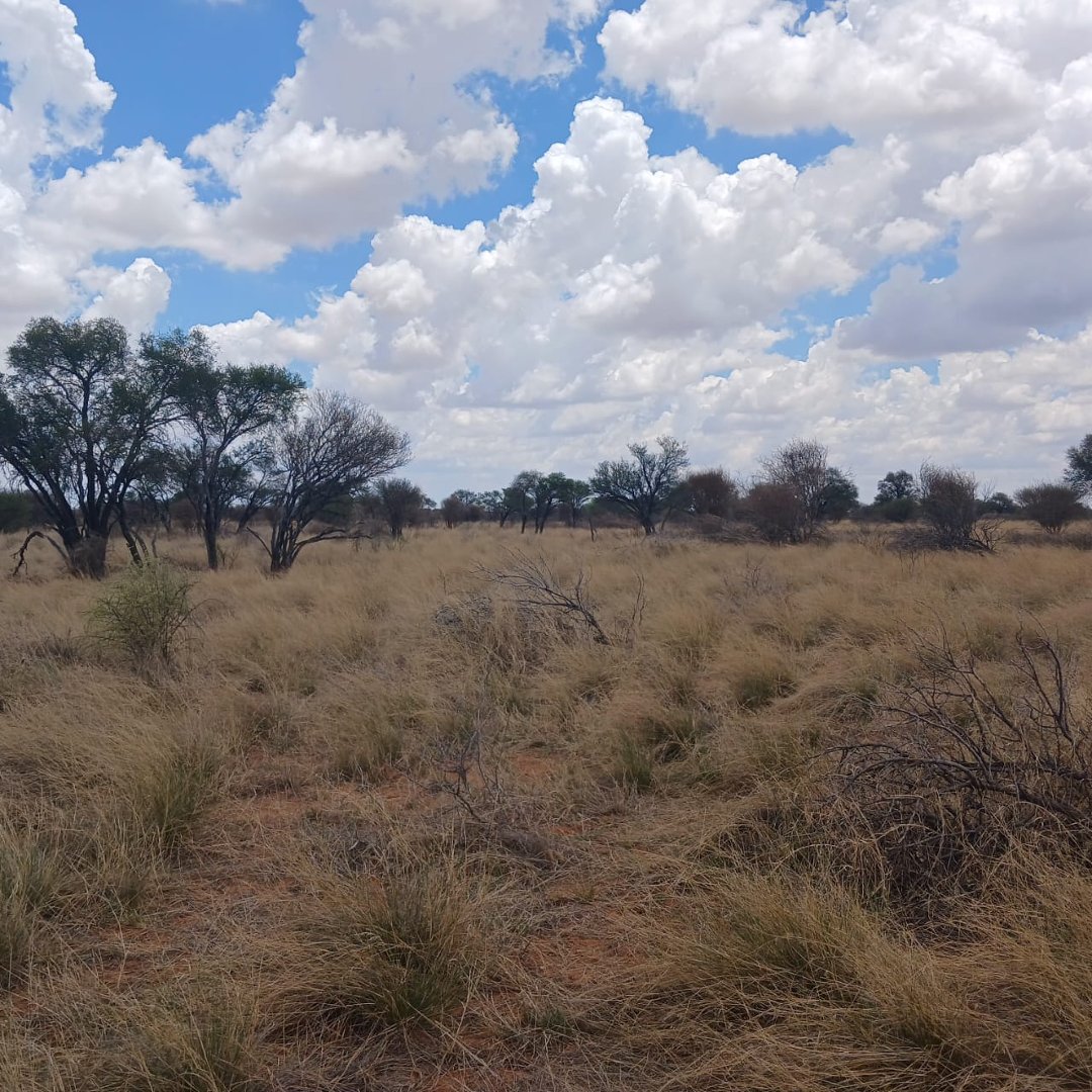 1757HA LIVESTOCK AND GAME FARM FOR SALE photo 4