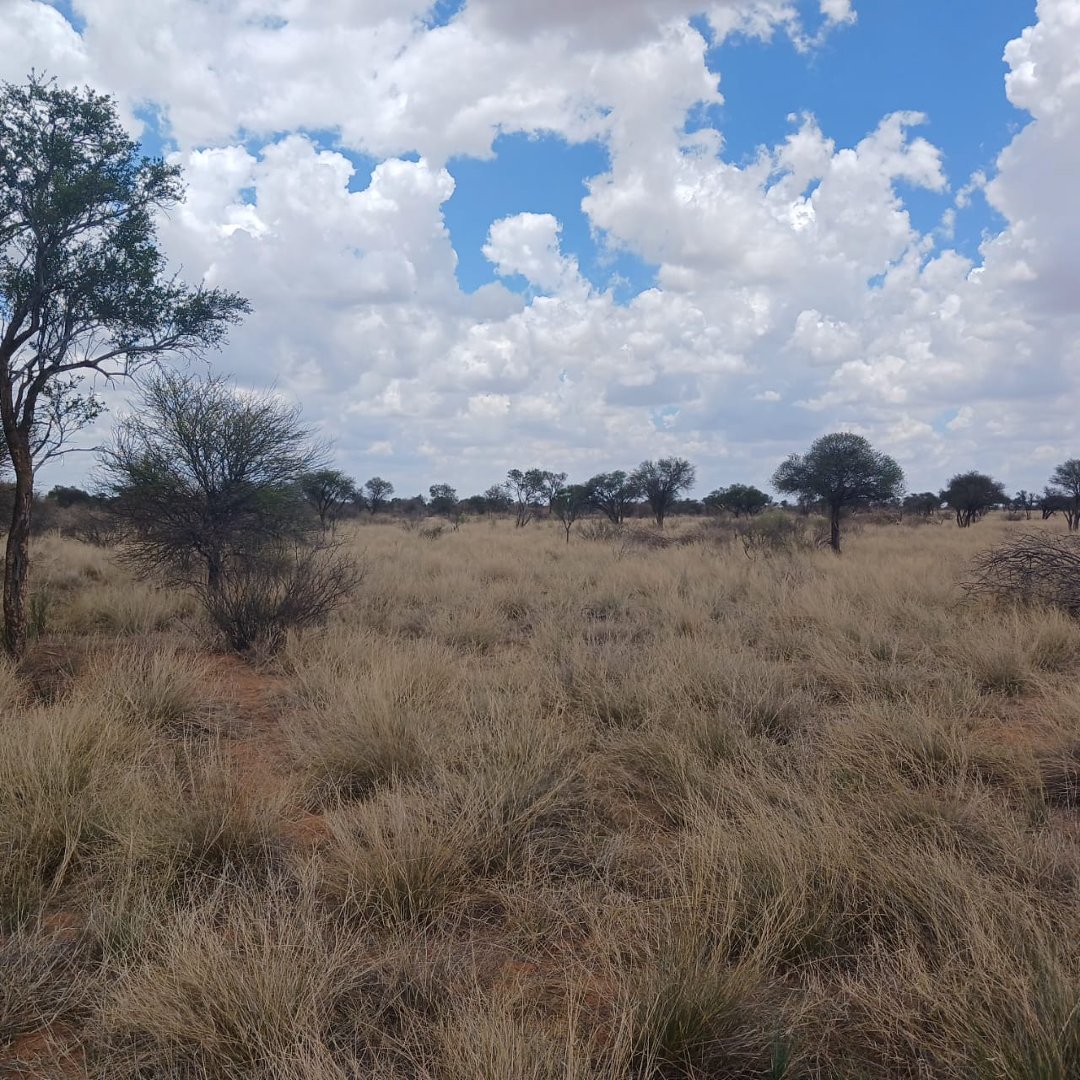 1757HA LIVESTOCK AND GAME FARM FOR SALE photo 3